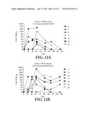 Gene Optimized Hantaan Virus M Segment DNA Vaccine For Hemorrhagic Fever     With Renal Syndrome diagram and image