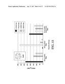 Gene Optimized Hantaan Virus M Segment DNA Vaccine For Hemorrhagic Fever     With Renal Syndrome diagram and image