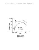 Gene Optimized Hantaan Virus M Segment DNA Vaccine For Hemorrhagic Fever     With Renal Syndrome diagram and image