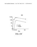 Gene Optimized Hantaan Virus M Segment DNA Vaccine For Hemorrhagic Fever     With Renal Syndrome diagram and image