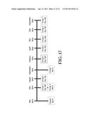 Gene Optimized Hantaan Virus M Segment DNA Vaccine For Hemorrhagic Fever     With Renal Syndrome diagram and image