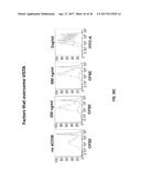 VISTA MODULATORS FOR DIAGNOSIS AND TREATMENT OF CANCER diagram and image