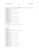 Modified Collagen Hybridizing Peptides And Uses Thereof diagram and image