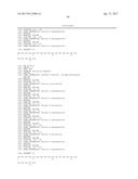 Modified Collagen Hybridizing Peptides And Uses Thereof diagram and image