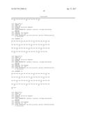 Modified Collagen Hybridizing Peptides And Uses Thereof diagram and image