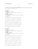 Modified Collagen Hybridizing Peptides And Uses Thereof diagram and image