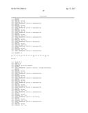 Modified Collagen Hybridizing Peptides And Uses Thereof diagram and image