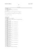 Modified Collagen Hybridizing Peptides And Uses Thereof diagram and image