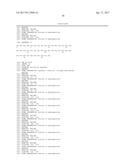 Modified Collagen Hybridizing Peptides And Uses Thereof diagram and image