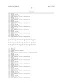 Modified Collagen Hybridizing Peptides And Uses Thereof diagram and image