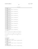 Modified Collagen Hybridizing Peptides And Uses Thereof diagram and image