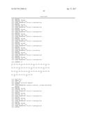 Modified Collagen Hybridizing Peptides And Uses Thereof diagram and image