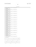 Modified Collagen Hybridizing Peptides And Uses Thereof diagram and image