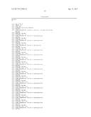 Modified Collagen Hybridizing Peptides And Uses Thereof diagram and image