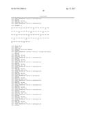 Modified Collagen Hybridizing Peptides And Uses Thereof diagram and image