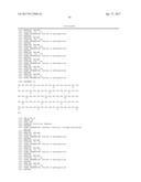 Modified Collagen Hybridizing Peptides And Uses Thereof diagram and image