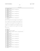 Modified Collagen Hybridizing Peptides And Uses Thereof diagram and image