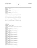 Modified Collagen Hybridizing Peptides And Uses Thereof diagram and image