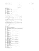 Modified Collagen Hybridizing Peptides And Uses Thereof diagram and image