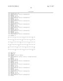 Modified Collagen Hybridizing Peptides And Uses Thereof diagram and image