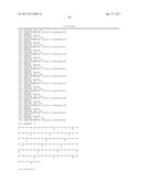 Modified Collagen Hybridizing Peptides And Uses Thereof diagram and image