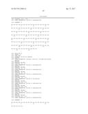 Modified Collagen Hybridizing Peptides And Uses Thereof diagram and image