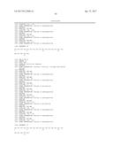 Modified Collagen Hybridizing Peptides And Uses Thereof diagram and image