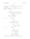 VE-CADHERIN BINDING BIOCONJUGATE diagram and image