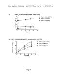 METHODS AND MEANS FOR ENHANCING RNA PRODUCTION diagram and image