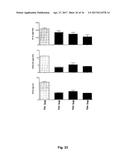 METHODS AND MEANS FOR ENHANCING RNA PRODUCTION diagram and image