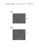 PROCESS OF FORMING NITRIDE SEMICONDUCTOR DEVICE diagram and image