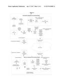 USER DEFINED PROTOCOL FOR ZERO-ADDED-JITTER AND ERROR FREE TRANSMISSION OF     LAYER-2 DATAGRAMS ACROSS LOSSY PACKET-SWITCHED NETWORK LINKS diagram and image