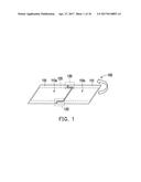 FOLDABLE BODY AND FOLDABLE DISPLAY APPARATUS diagram and image