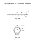 FOLDABLE BODY AND FOLDABLE DISPLAY APPARATUS diagram and image