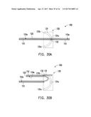 FOLDABLE BODY AND FOLDABLE DISPLAY APPARATUS diagram and image