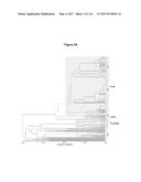 Endophytes and related methods diagram and image