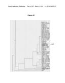 Endophytes and related methods diagram and image