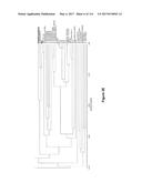 Endophytes and related methods diagram and image