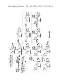 Endophytes and related methods diagram and image