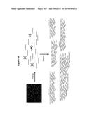 Endophytes and related methods diagram and image