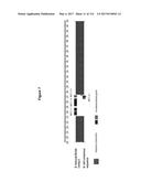 Endophytes and related methods diagram and image