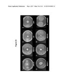 Endophytes and related methods diagram and image