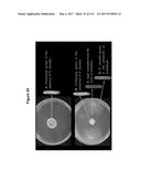 Endophytes and related methods diagram and image