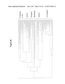 Endophytes and related methods diagram and image