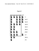 Endophytes and related methods diagram and image