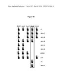 Endophytes and related methods diagram and image