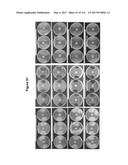 Endophytes and related methods diagram and image