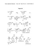 Endophytes and related methods diagram and image