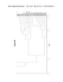 Endophytes and related methods diagram and image