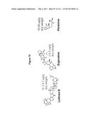 Endophytes and related methods diagram and image